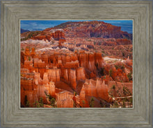 Load image into Gallery viewer, The Hoodoos of Bryce Canyon National Park, Utah
