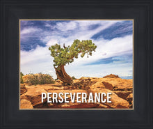 Load image into Gallery viewer, Perseverance Motivational Poster
