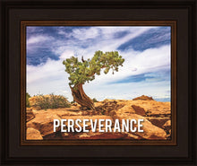 Load image into Gallery viewer, Perseverance Motivational Poster
