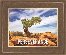 Load image into Gallery viewer, Perseverance Motivational Poster
