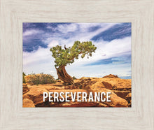 Load image into Gallery viewer, Perseverance Motivational Poster
