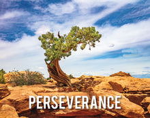 Load image into Gallery viewer, Perseverance Motivational Poster

