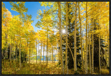 Load image into Gallery viewer, Autumn in the Rocky Mountains, Wasatch National Forest, Utah

