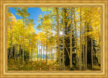 Load image into Gallery viewer, Autumn in the Rocky Mountains, Wasatch National Forest, Utah
