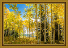 Load image into Gallery viewer, Autumn in the Rocky Mountains, Wasatch National Forest, Utah
