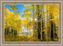 Load image into Gallery viewer, Autumn in the Rocky Mountains, Wasatch National Forest, Utah
