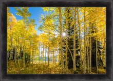 Load image into Gallery viewer, Autumn in the Rocky Mountains, Wasatch National Forest, Utah
