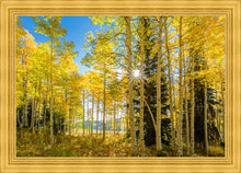 Load image into Gallery viewer, Autumn in the Rocky Mountains, Wasatch National Forest, Utah
