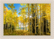 Load image into Gallery viewer, Autumn in the Rocky Mountains, Wasatch National Forest, Utah
