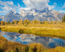 Load image into Gallery viewer, Autumn Splendor
