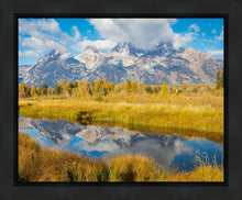 Load image into Gallery viewer, Autumn Splendor
