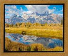 Load image into Gallery viewer, Autumn Splendor
