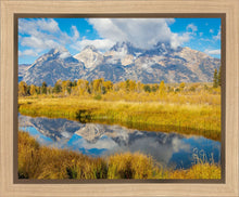 Load image into Gallery viewer, Autumn Splendor
