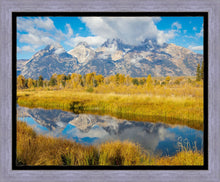 Load image into Gallery viewer, Autumn Splendor
