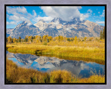Load image into Gallery viewer, Autumn Splendor
