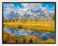 Load image into Gallery viewer, Autumn Splendor

