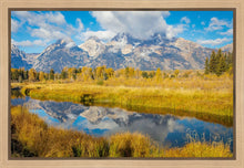 Load image into Gallery viewer, Autumn Splendor
