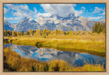 Load image into Gallery viewer, Autumn Splendor
