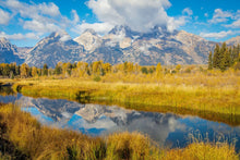 Load image into Gallery viewer, Autumn Splendor
