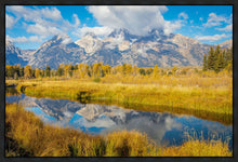Load image into Gallery viewer, Autumn Splendor
