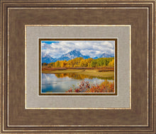Load image into Gallery viewer, Changing Seasons
