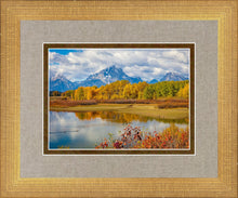 Load image into Gallery viewer, Changing Seasons
