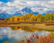 Load image into Gallery viewer, Changing Seasons
