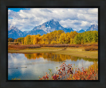 Load image into Gallery viewer, Changing Seasons
