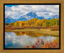 Load image into Gallery viewer, Changing Seasons
