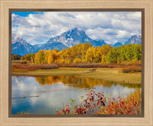 Load image into Gallery viewer, Changing Seasons
