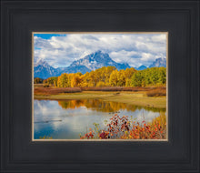 Load image into Gallery viewer, Changing Seasons
