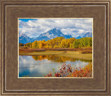 Load image into Gallery viewer, Changing Seasons
