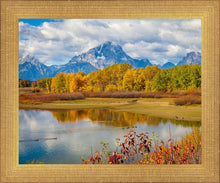 Load image into Gallery viewer, Changing Seasons

