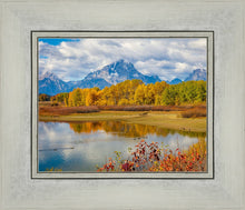 Load image into Gallery viewer, Changing Seasons
