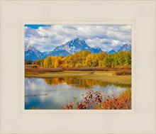 Load image into Gallery viewer, Changing Seasons
