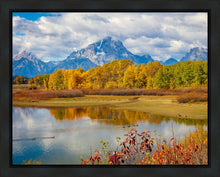 Load image into Gallery viewer, Changing Seasons
