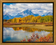 Load image into Gallery viewer, Changing Seasons
