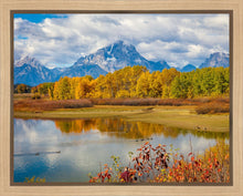 Load image into Gallery viewer, Changing Seasons
