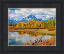 Load image into Gallery viewer, Changing Seasons
