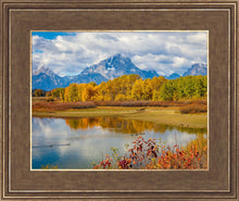 Load image into Gallery viewer, Changing Seasons
