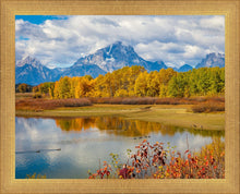 Load image into Gallery viewer, Changing Seasons
