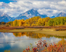 Load image into Gallery viewer, Changing Seasons

