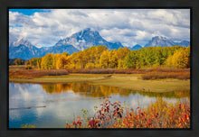 Load image into Gallery viewer, Changing Seasons
