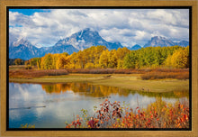Load image into Gallery viewer, Changing Seasons
