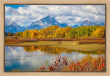 Load image into Gallery viewer, Changing Seasons
