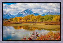 Load image into Gallery viewer, Changing Seasons

