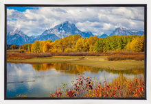 Load image into Gallery viewer, Changing Seasons

