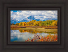 Load image into Gallery viewer, Changing Seasons

