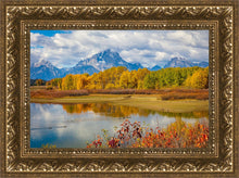 Load image into Gallery viewer, Changing Seasons
