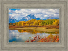 Load image into Gallery viewer, Changing Seasons
